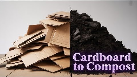 Speed up Decomposition, Best Practices for Cardboard Composting