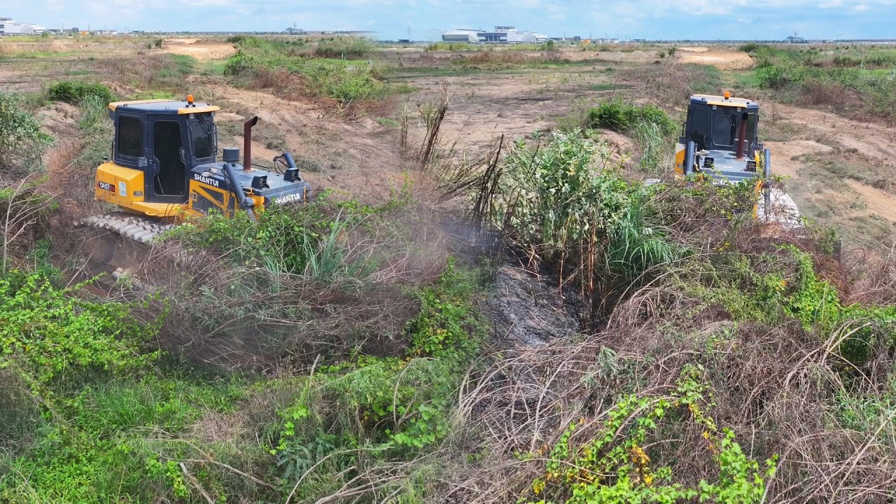 Wow Amazing Dozer SHANTUI C3 Clear Land And Push Stone With DumpTruck 25 TON Transpoting Stong Fill