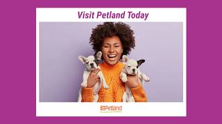 Find Fun Loving Pets At Petland Today 💟 by Petland Knoxville 13,761 views 3 years ago 16 seconds