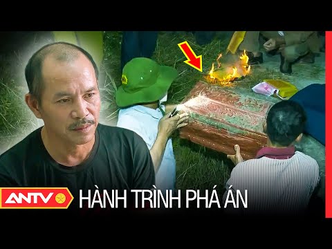 Video: Động vật trú ẩn ăn cắp chương trình trong 