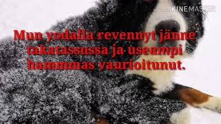 Mun Yodalla Revennyt Jänne Takatassussa Ja Useampi Hammmas Vaurioitunut. Dec Lukee Ig Nimi