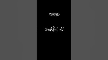 كروما سورة المعارج الآية 8-18 | محمد اللحيدان