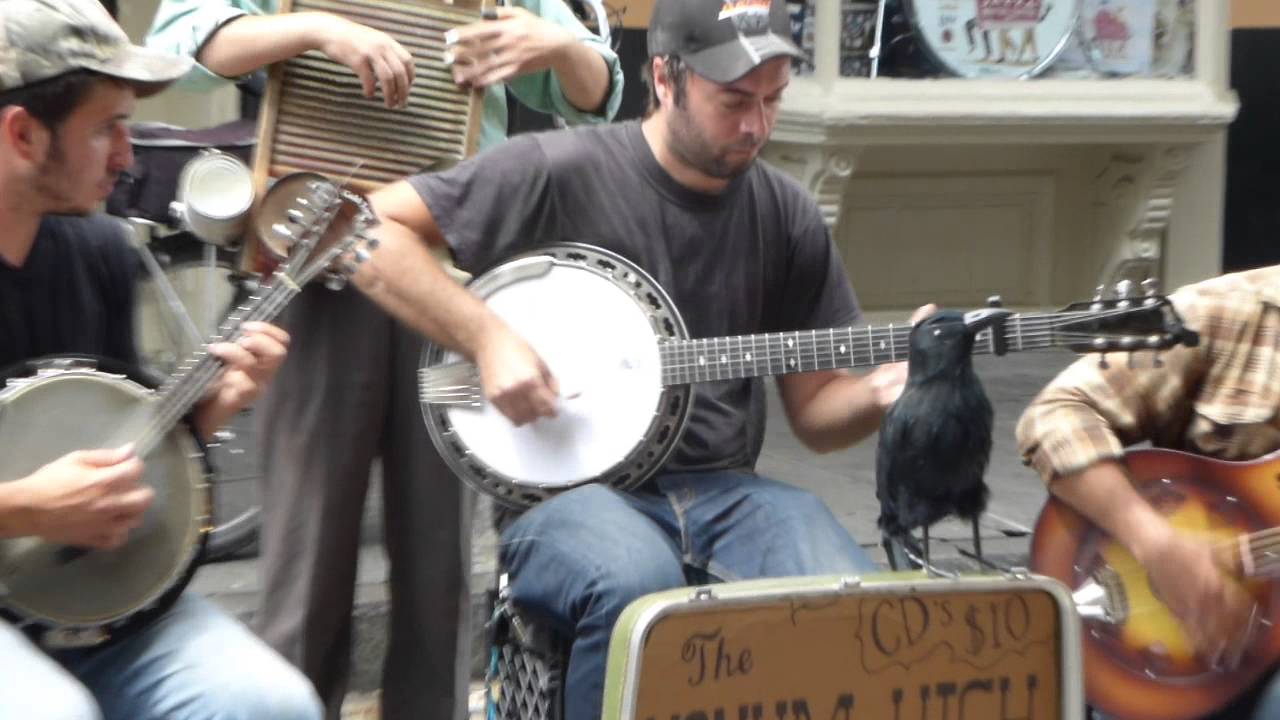 The Hokum High Rollers: 'Michigander Blues'