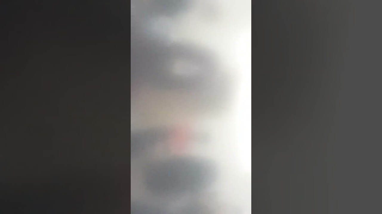 4 de janeiro de 2026