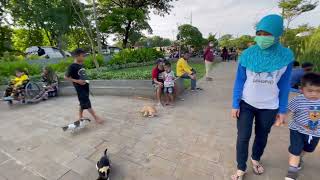 Taman rawa badak utara