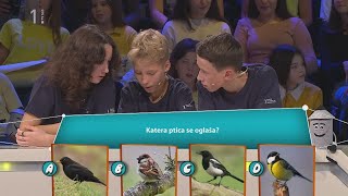 Prepoznaj Ptičje Petje