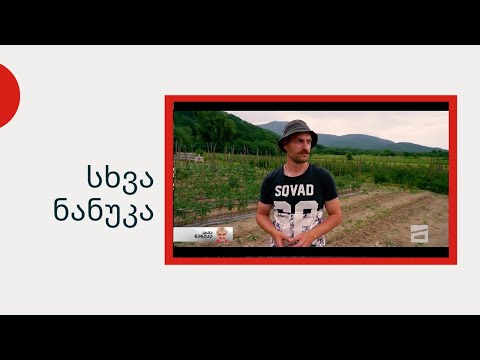 სხვა ნანუკა - ბიჭი, რომელსაც ლაგოდეხში ჟოლო მოჰყავს და ბავშვებს ცეკვას ასწავლის