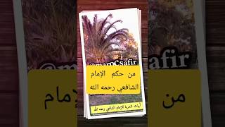 إن الجواب لباب الشر مفتاح  من شعر الإمام #الشافعي  رحمه الله #حالات_واتس