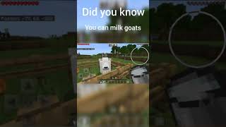 Did You Know About Minecraft Shorts