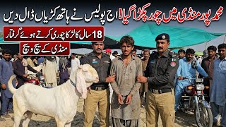 June 29, 2026 🐐😱 بادشاہ Big Chaos at Muhammad Pur Mandi Today Thief Caught, Baba Ji Scammed & Latest