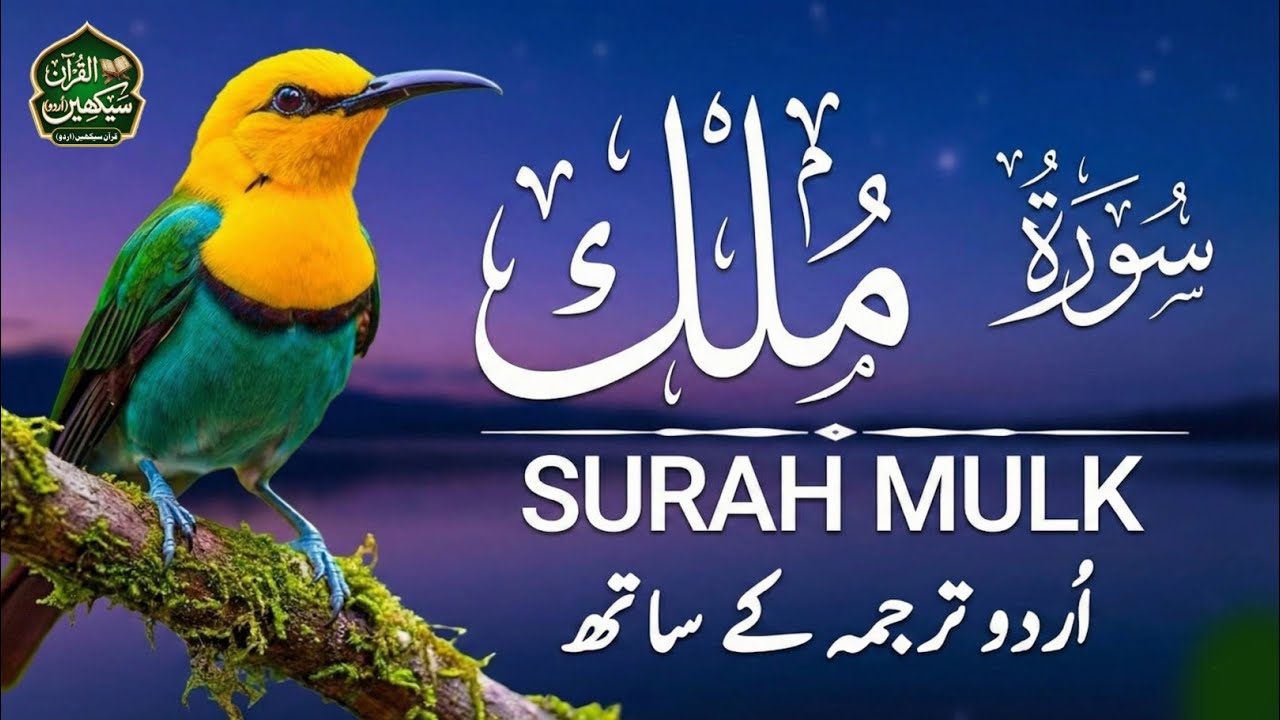 Surah Mulk Full With Urdu Translation | Beautiful Recitation & Text | Complete Urdu Tarjuma
