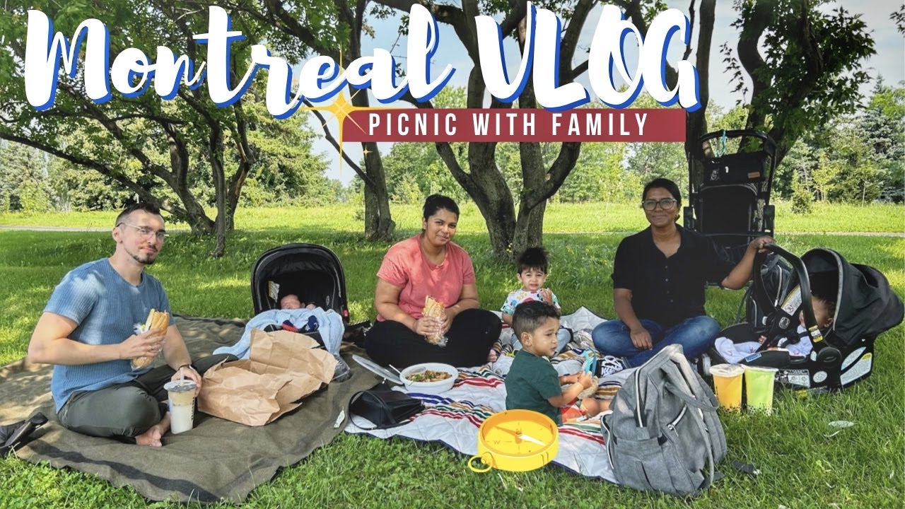 আঁখির ছোট বোন আঁকার পরিবারের সাথে দুপুরের চড়ুইভাতি | PICNIC WITH FAMILY