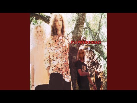 Flowerhead — Acid Reign