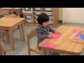 The Montessori Language Program