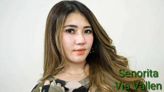 Senorita Music Koplo Cover Bye "Via Vallen" (TBMW)