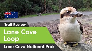 Lane Cove Loop Trail | Lane Cove National Park | Hiking trails in Sydney, Australia