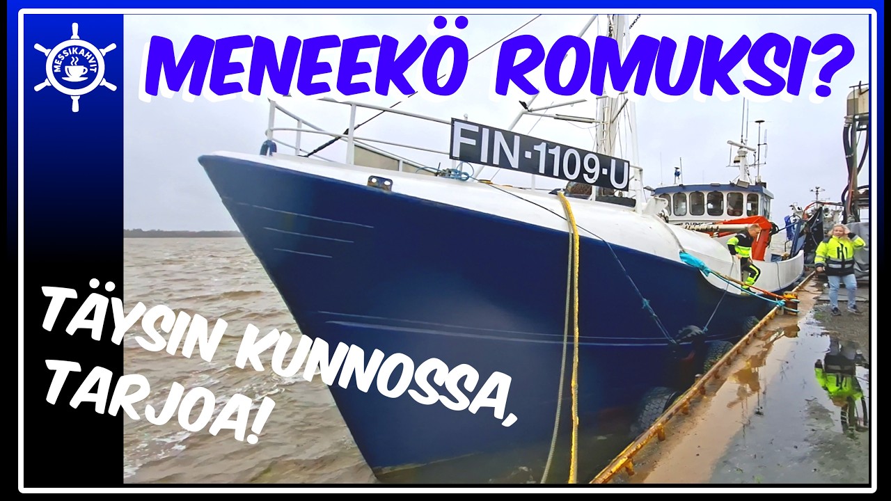 Tästä pilkkahintaan hyvä rautapaatti omaksi!