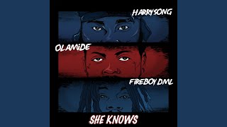 She Knows (feat. Fireboy DML & Olamide) - Harrysong