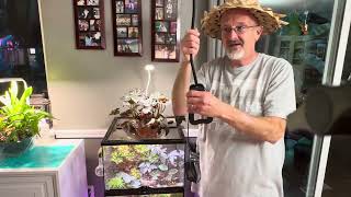 Glowrium Led Grow Light G8 Product Demonstration