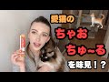 猫の餌⁉︎飼い主がチャオチュールを食べたらどうなる⁇どんな味⁈