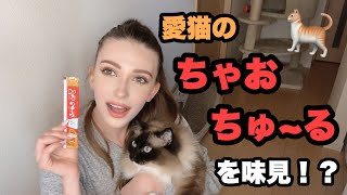 猫の餌⁉︎飼い主がチャオチュールを食べたらどうなる⁇どんな味⁈