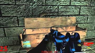 WAW Nazi Custom Zombies: "One Window Challenge" *HIGHEST CO-OP ROUND