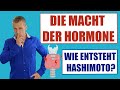 Die Macht der HORMONE - Wie entsteht HASHIMOTO?