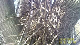 Sasquatch Interior B.C.   wow ...Sasquatch Structure....Kamloops location