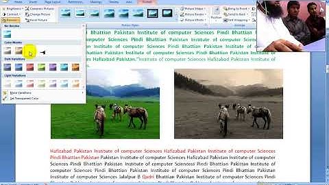 ms word 2007 tutorial in urdu / hindi Insert picture and formatting
