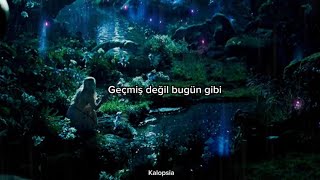 Cem Adrian - Sen Benim Şarkılarımsın / Dolunay Sungur Cover