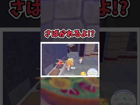 コイキングもういい！戻れ！【ぽこ あ ポケモン】#shorts