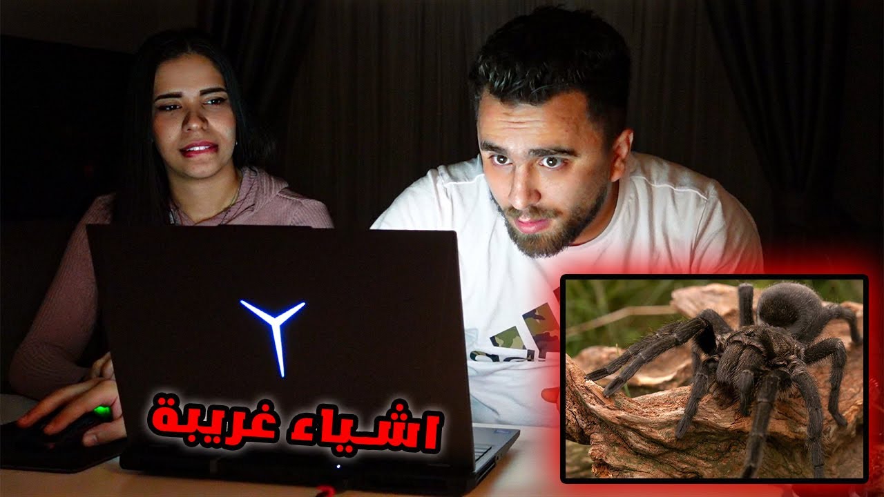 دخلنا الموقع المظلم حتى نشتري كائنات غريبة