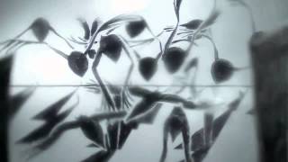 Video thumbnail of "Aves migratorias - Skay Beilinson"