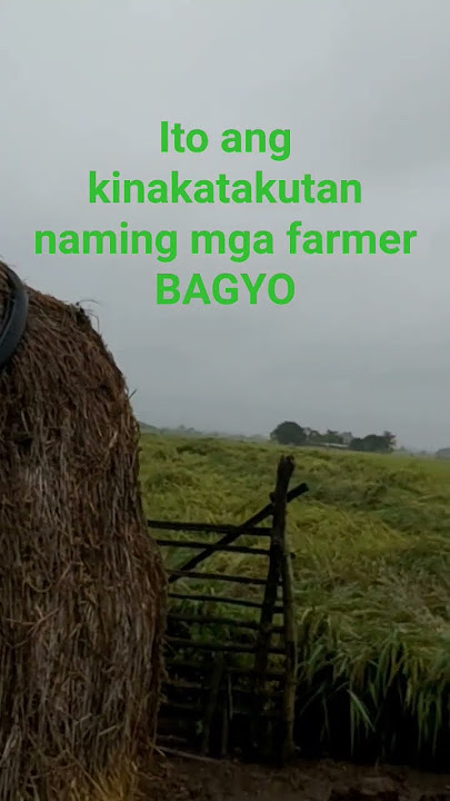 Bagyong opens on the go..#farmerluginanaman#gastomarami