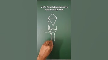 Up board class 10th sciences question paper 📜# by Sunil sir #upboardexam2025mathsmodelpaper