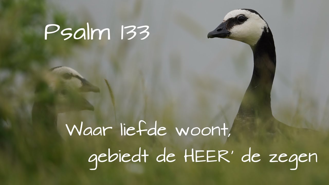 Psalm 133 - Waar liefde woont - Piano improvisatie - YouTube
