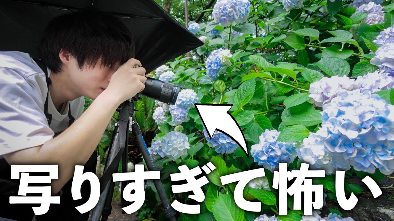 Huh? I've never taken a photo like this before? - YouTube