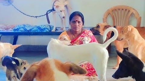 🧿🐕நம்ம பிள்ளைங்க எவ்வளவு சந்தோஷமா இருக்காங்க😘❤️🙏please save stray dog's🙏
