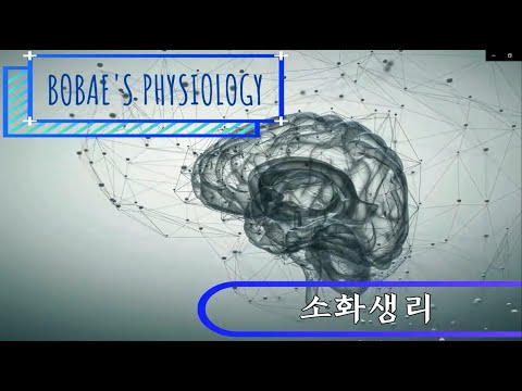 생리학 - 소화생리