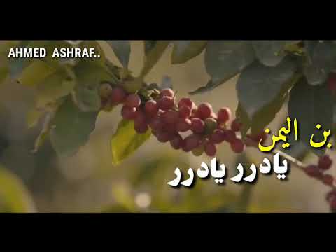 بن اليمن يادرر يادرر مع الكلمات احمد سيف روعه