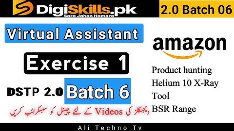 Virtual Assistant Exercise 1 Batch 6 Digiskills | digiskills virtual assistant exercise 1 batch 6