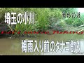 #57 梅雨入り前のタナゴ釣り【小物釣り_micro fishing channel_微物釣遊】