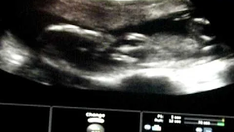 Savannah Elizabeth Seay