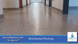 Best Kennel Flooring