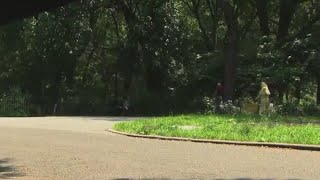 Woman sexually assaulted while jogging at NYC park