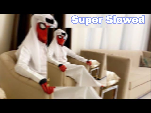 Schizophrenic ( super slowed )