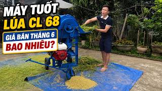 Máy Tuốt Lúa MIni Gia Đình CL 68 Chạy Động Cơ Xăng Test Máy Tại Nhà Khách