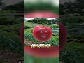 Забавная история #sleduck #twitch #sledovatel #fyp #мем #vtuber #viral