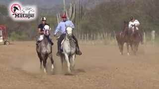 CARRERAS DE CABALLOS EN REBEICO, SONORA