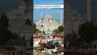 Mevlaya Salli ve Sellim | Ubeydullah Sezikli | #shorts #zikir #tasavvuf #shortvideo  #ramazan